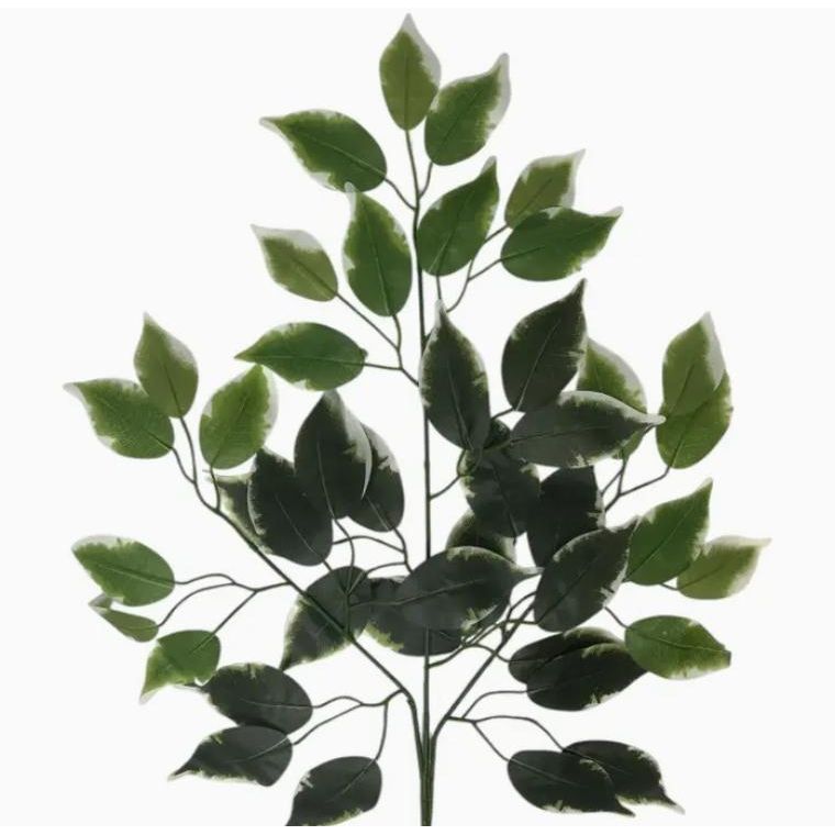 Silk Ficus Leaf Spray 23" - Variegated