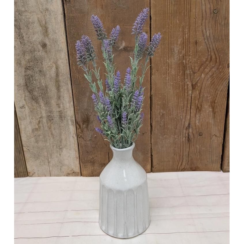 Lavender Bush