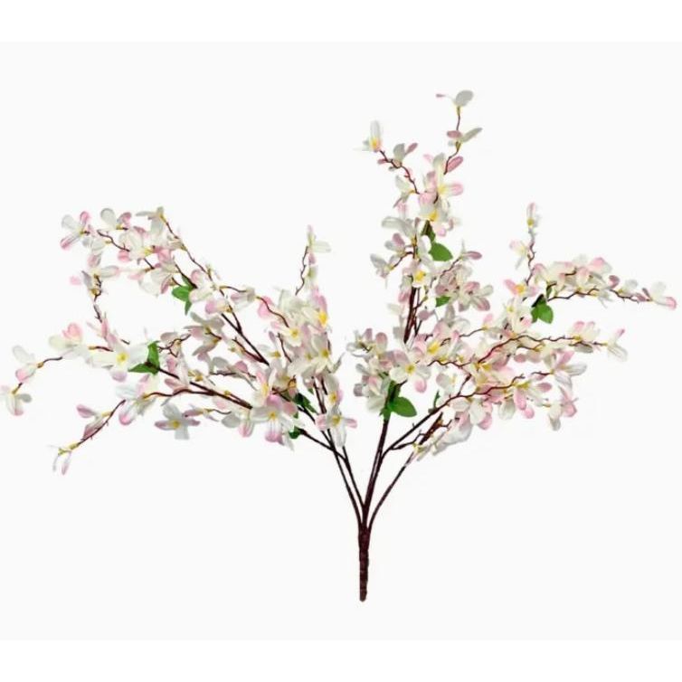 Tweedia Bush X 5 - 24” - Cream/Pink