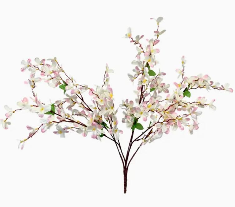 Tweedia Bush X 5 - 24” - Cream/Pink