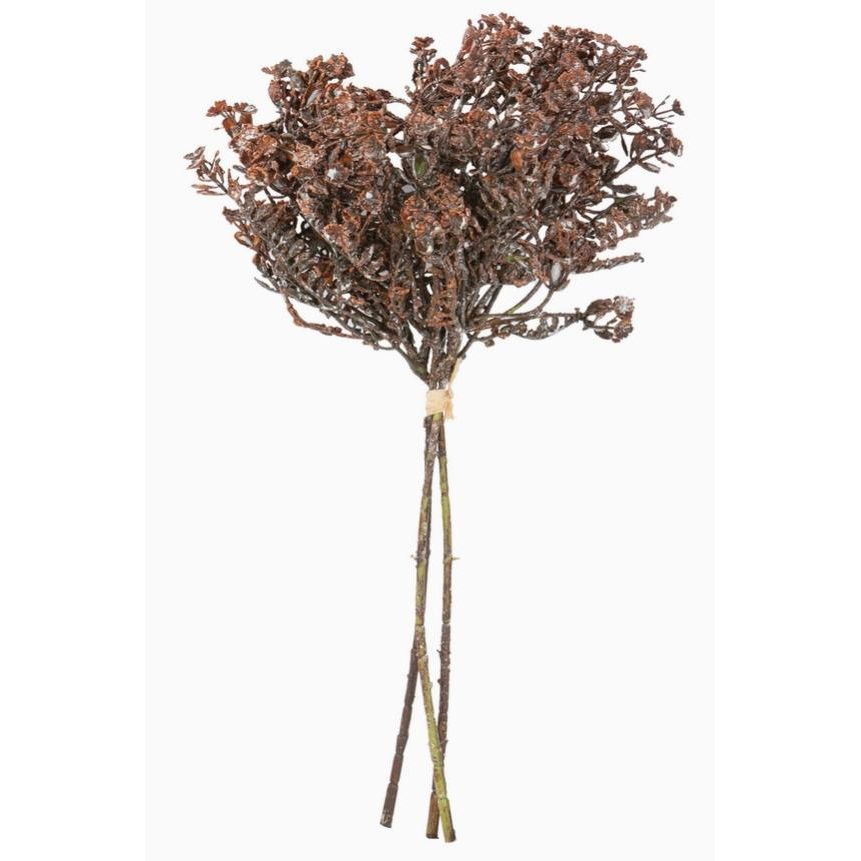 Mountain Wildflower Bundle (Brown)