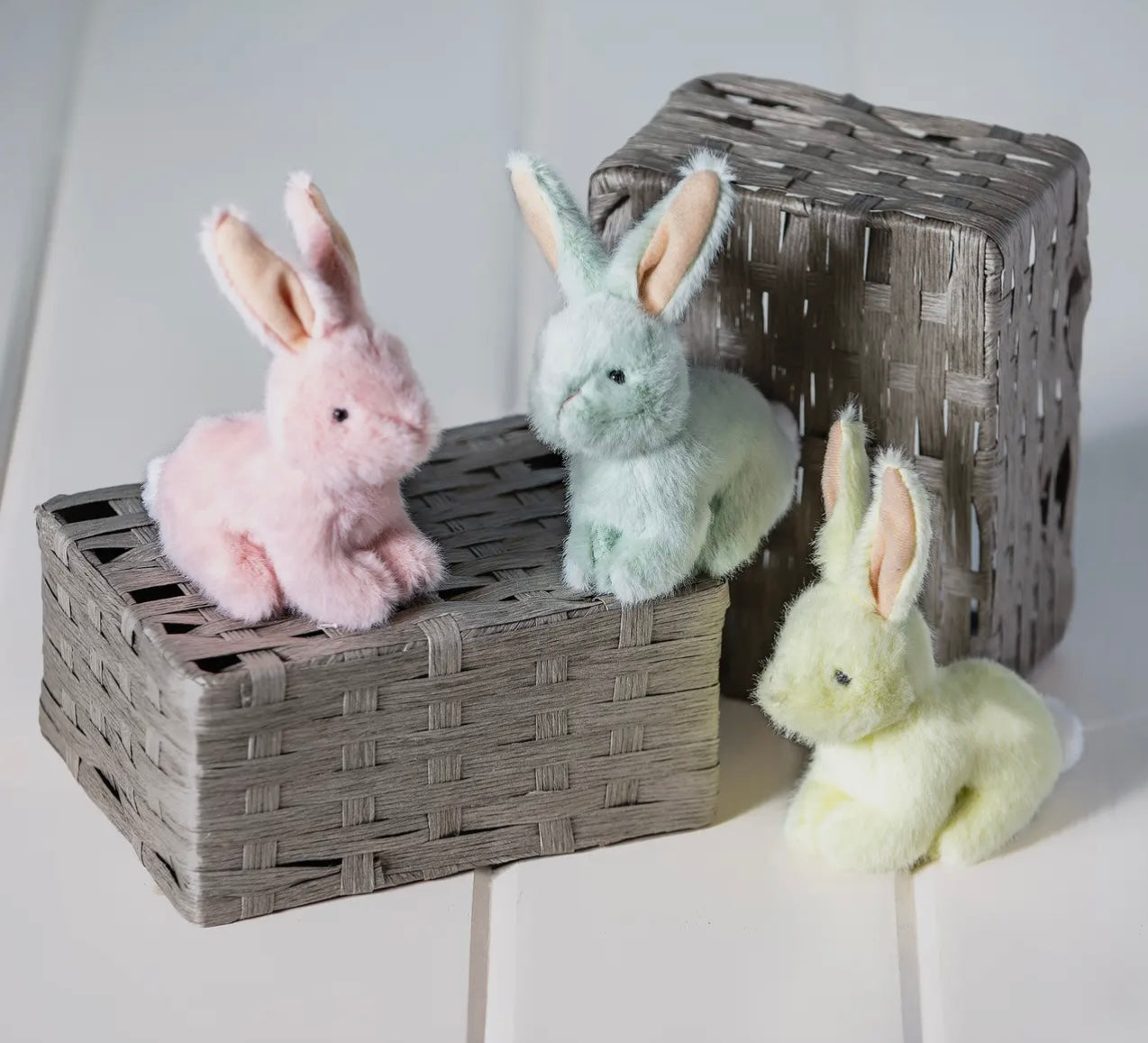 Neat Petites Bunny Assortment