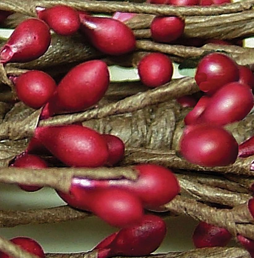 Pip Berry Garland with Stars Burgundy