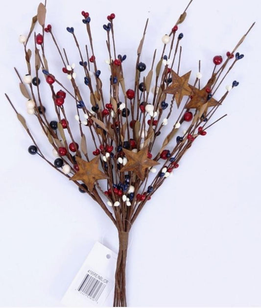 Mixed Berry Pick W/Leaves & Rust Stars, Hw, 13in