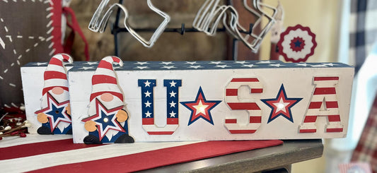 USA Gnome Light Up Picture