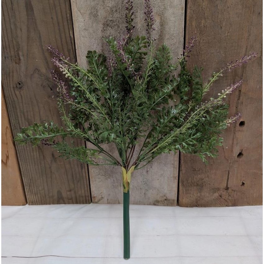 Lavender and Fern Bush