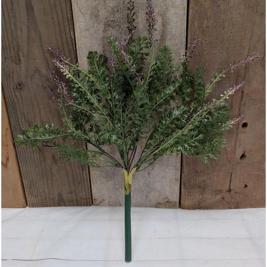 Lavender and Fern Bush
