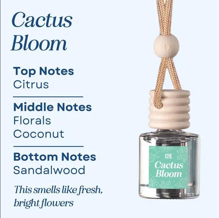 Scented Car Air Freshener - Hanging Scented Car Fragrance