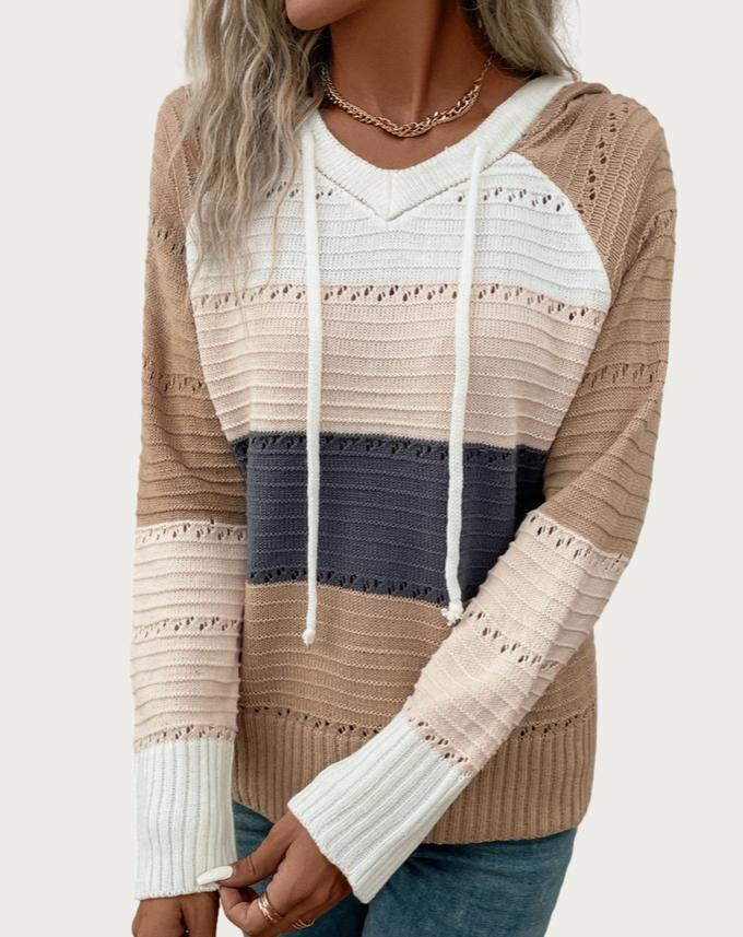 Chic Multicolor Long Sleeve Hooded Pieced Knit Sweater