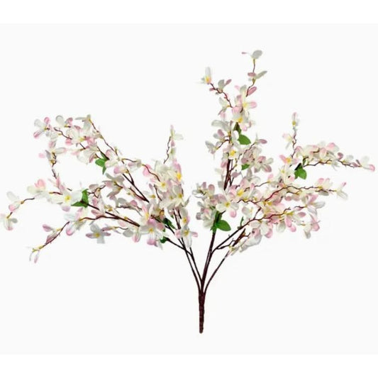 Tweedia Bush X 5 - 24” - Cream/Pink