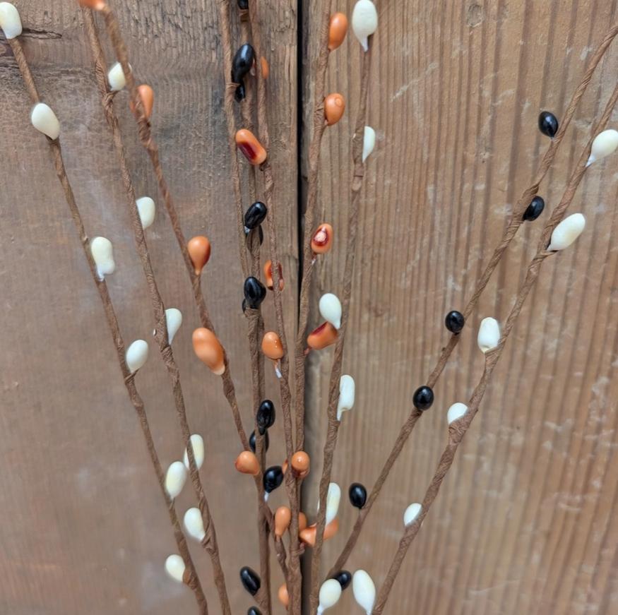 Pip Berry Picks