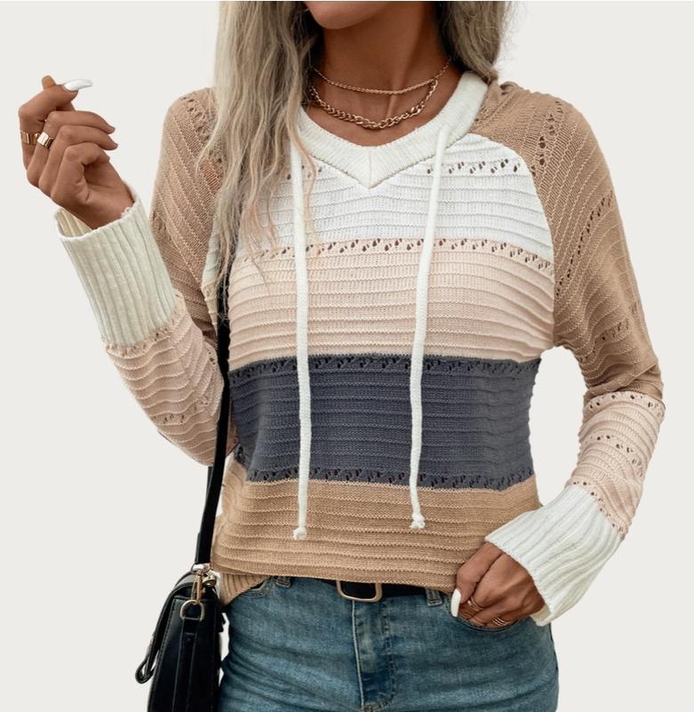 Chic Multicolor Long Sleeve Hooded Pieced Knit Sweater