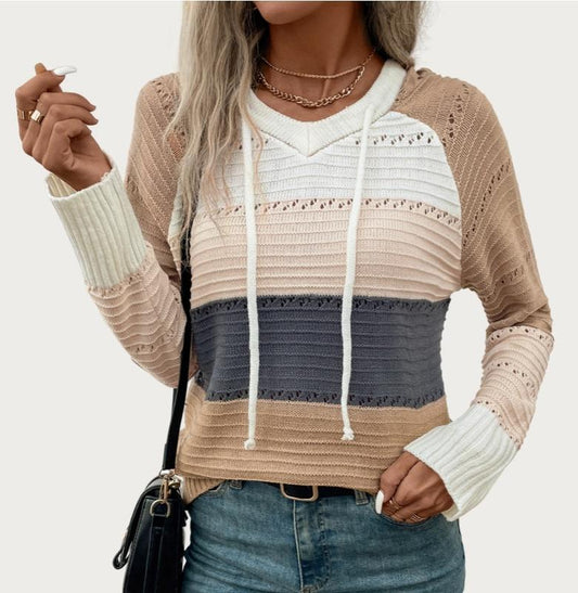 Chic Multicolor Long Sleeve Hooded Pieced Knit Sweater