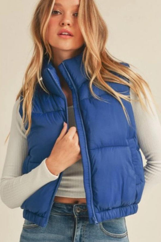 Nylon High Neck Faux Down Puffer Vest (Marine)