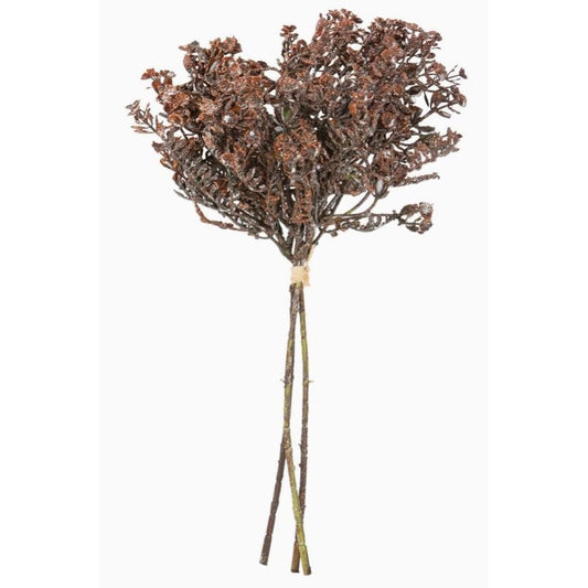 Mountain Wildflower Bundle (Brown)