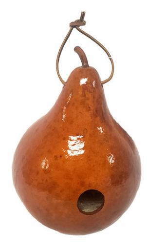 Drilled Gourd Saddle Tan Birdhouse