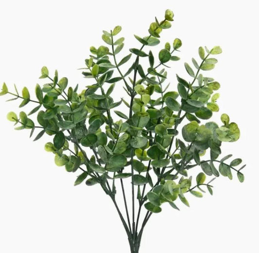 13" Eucalyptus Bush
