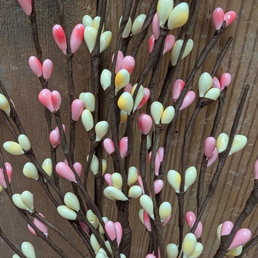 Pip Berry Picks
