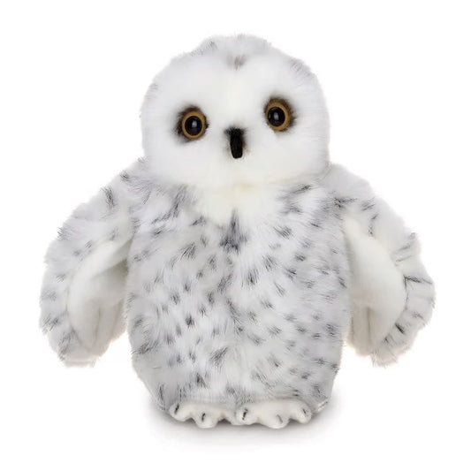 Drift the Snow Owl