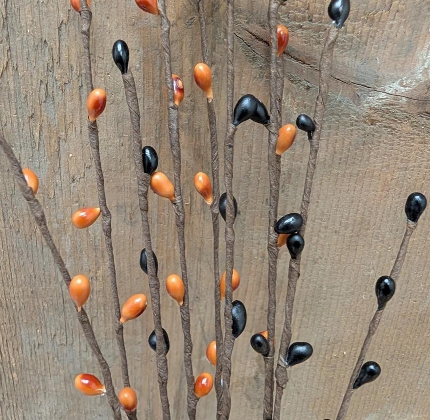 Pip Berry Picks
