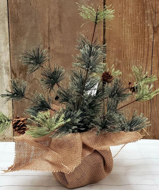 12" Smokey Mountain Pine Tree