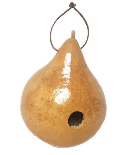 Drilled Gourd Clear Birdhouse