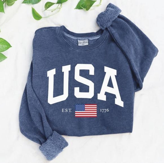 USA Est.1776 Mineral Graphic Sweatshirt (Vintage Denim)