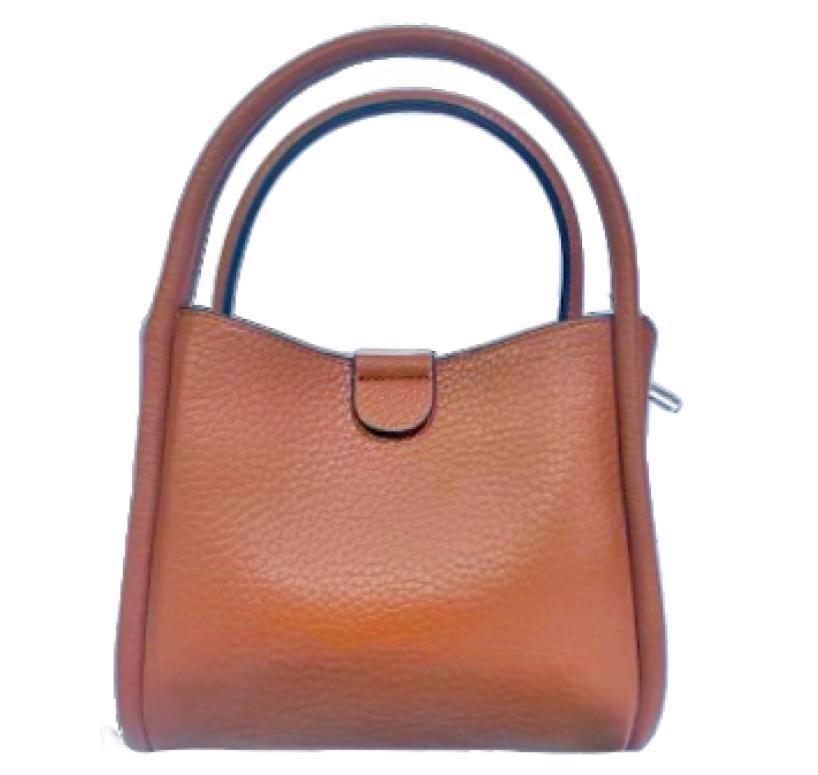Rose Satchel Crossbody