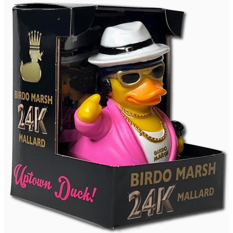 CelebriDucks