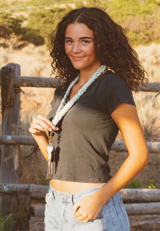 Sage Gingham Lanyard