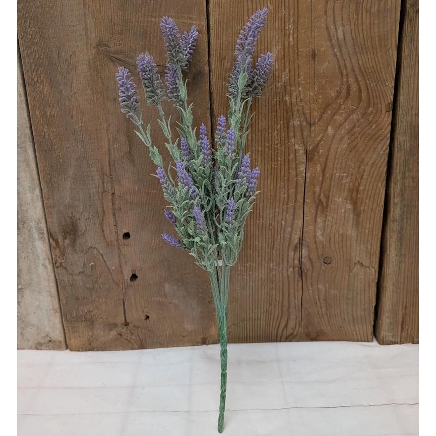 Lavender Bush
