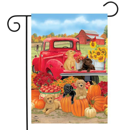 Fall Puppies Flag