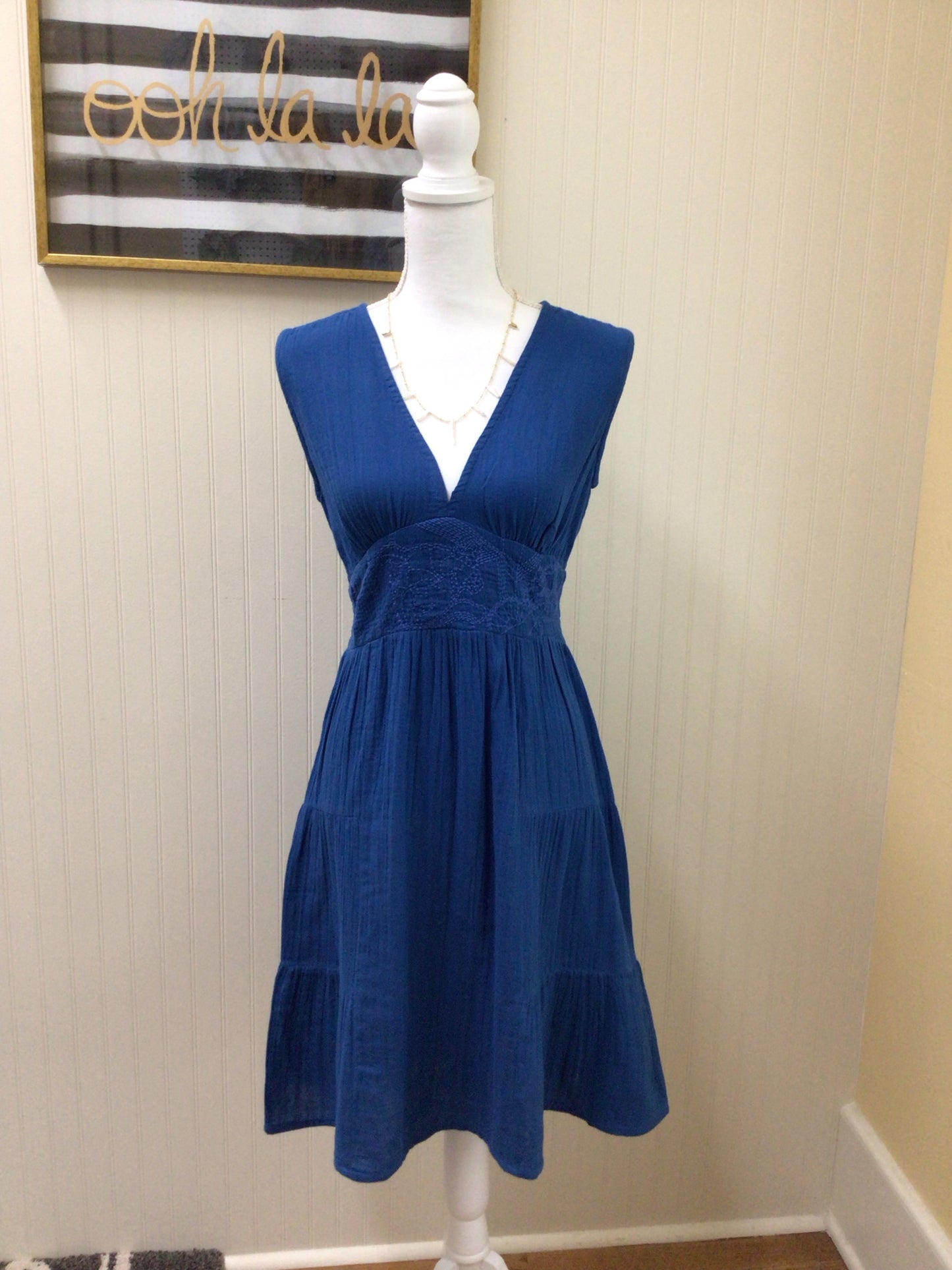 Blue Embroidered Empire Waist V-Neck Dress
